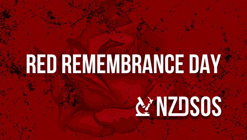 Red Remembrance Day 2024 in Christchurch NZDSOS Events & Community